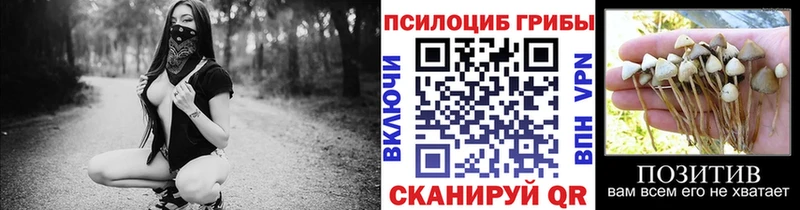 Галлюциногенные грибы прущие грибы  Купить закладки  Камень-на-Оби 